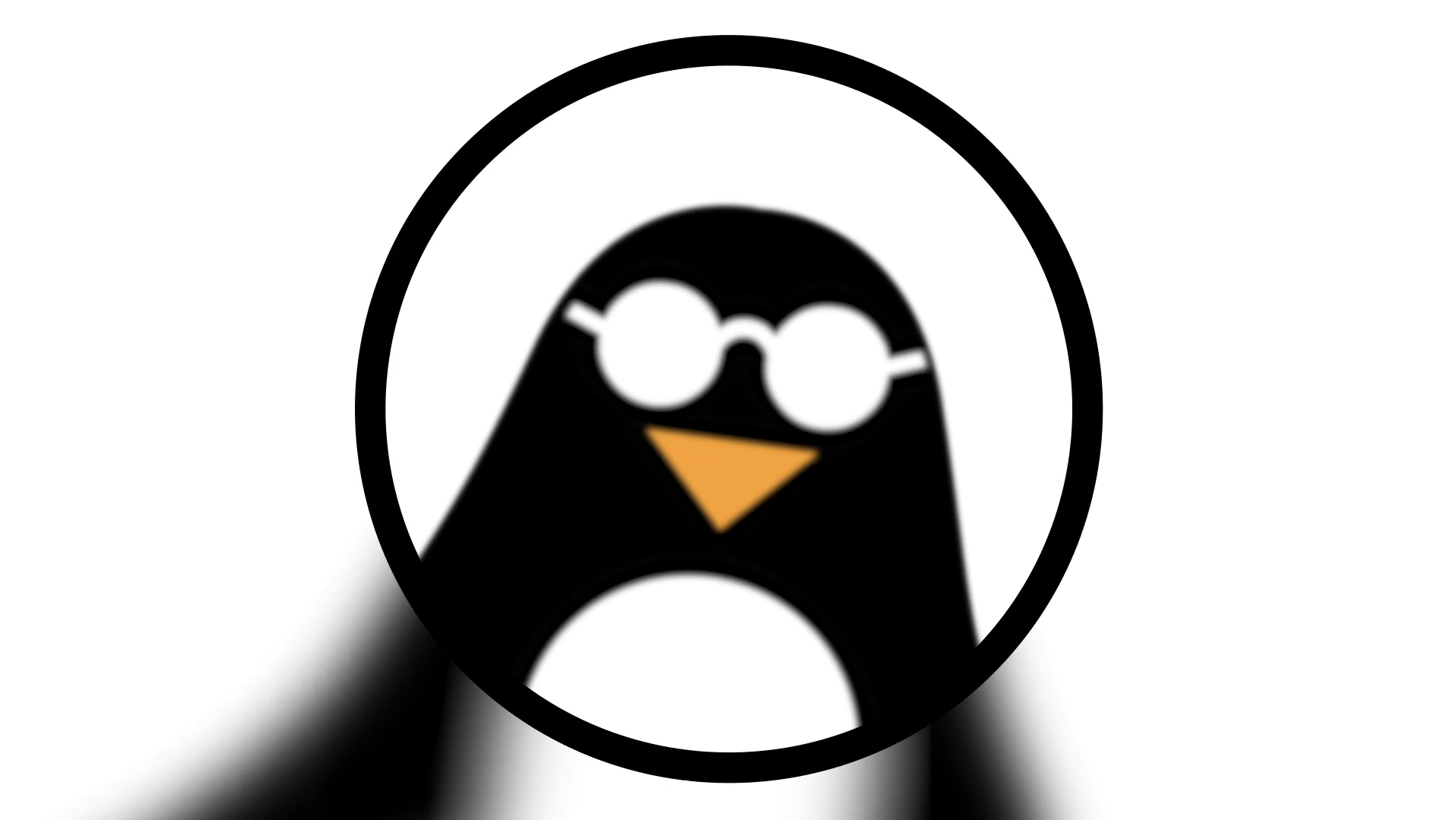 Leroy Optical Logo ID